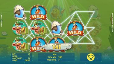 Scruffy Duck random wild
