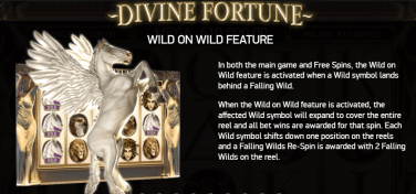 Divine Fortune Wild on Wild