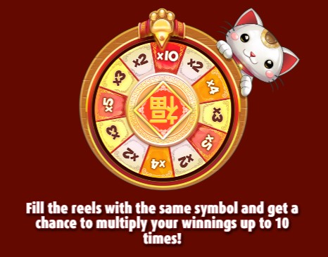 Big Win Cat Multiplier Wheel