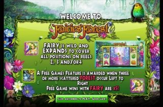 Fairies Forest 5