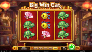 big win cat play go screenshot (3)