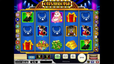 cats and cash screenshot (1)