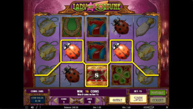 lady of fortune screenshot 2