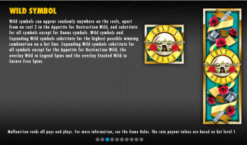 Guns N' Roses Wild Symbol
