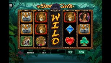 exotic cats screenshot (5)