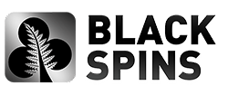 100% up to $500 1st Deposit Bonus from Black Spins Casino