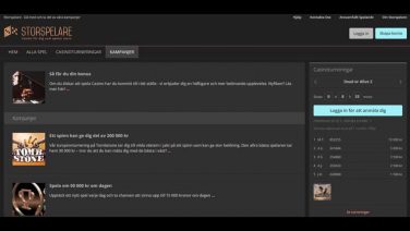 storspelare casino screenshot (5)