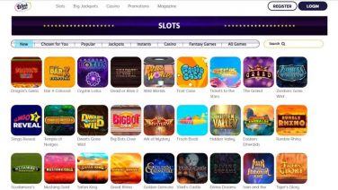 winkslots casino screenshot (1)