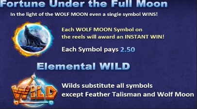 Wolf Moon Rising Fortune Under The Full Moon