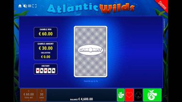 atlantic wilds (4)