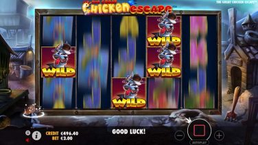 the great chicken escape (2)