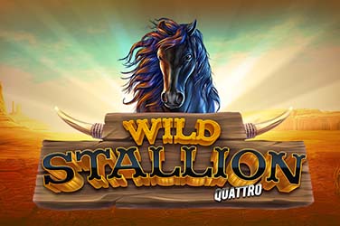 Wild Stallion