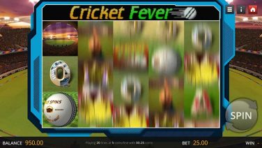 cricket fever (3)