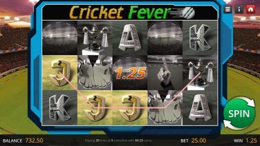cricket fever (5)