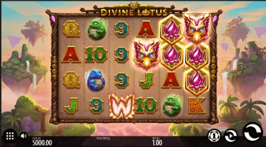 divine lotus Theme & Graphics