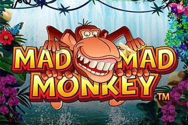 Mad Mad Monkey