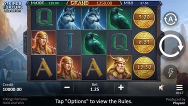 Vikings Fortune Hold and Win