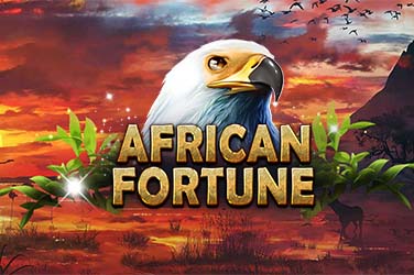 African Fortune