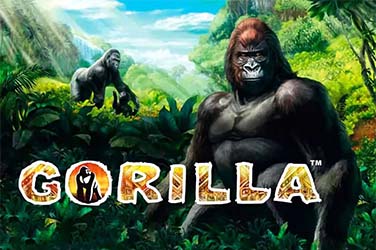 Gorilla