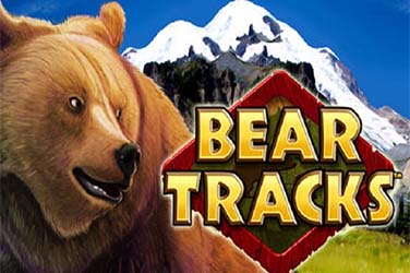 Bear Tracks