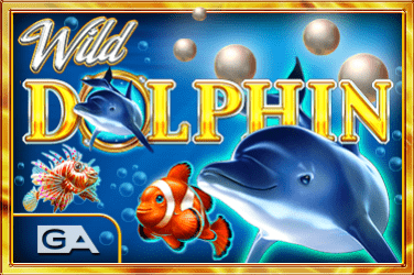 Wild Dolphin