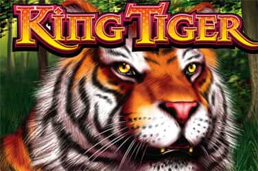 King Tiger