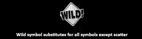 Aussie Adventure Wild Symbol