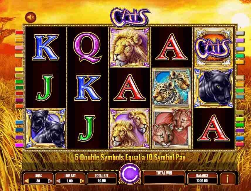 Cats Theme & Graphics