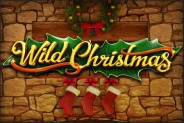 Wild Christmas