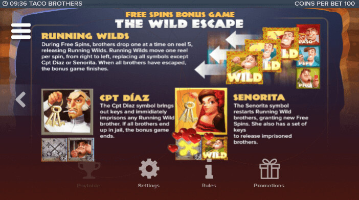 free spins bonus game