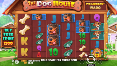 The Dog House Megaways Theme & Graphics