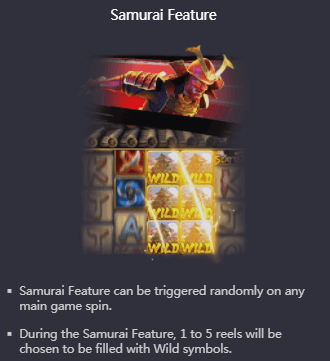 Ninja vs Samurai Samurai Feature