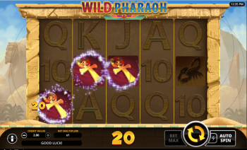 Wild pharaoh themes and graphics2