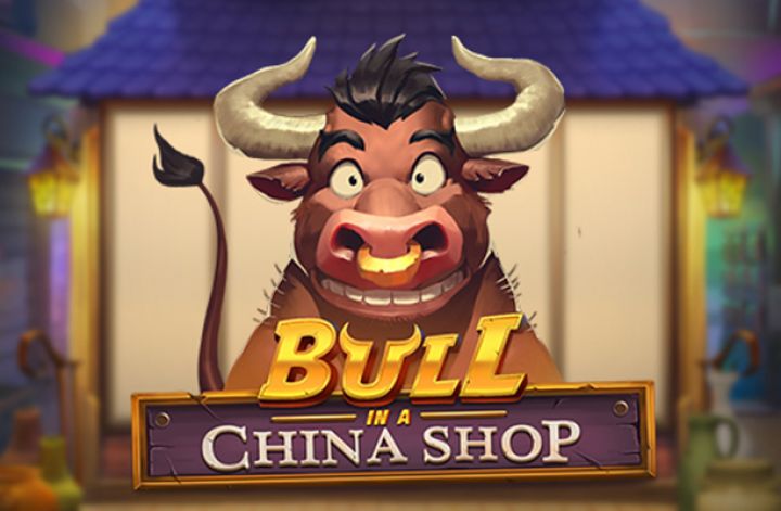 Bull in a China Shop