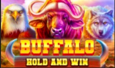 Buffalo Hold and Win