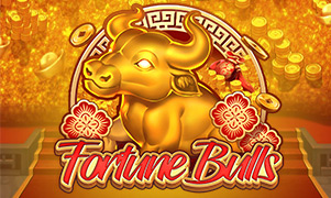 Fortune Bulls