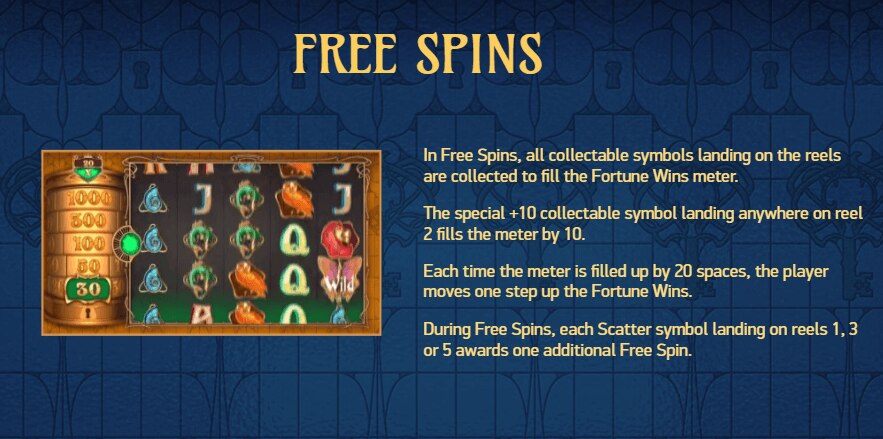 Codex of Fortune Bonus Features