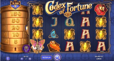 Codex of Fortune Theme & Graphics