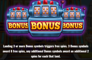 Chip Spin Bonus Features