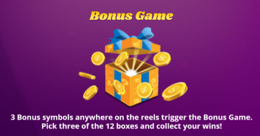 Spinjoy Society Bonus Game