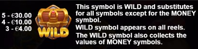 Treasure Wild Wild Symbol
