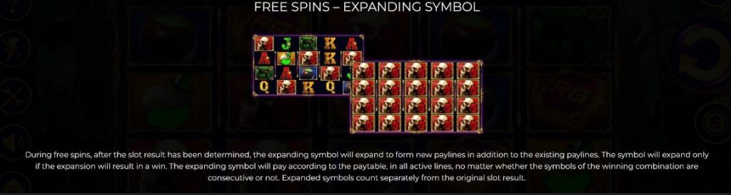 Book of Witchcraft Free Spins with Expanding Symbol