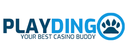 Playdingo Casino Logo