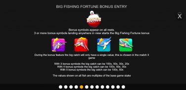 Big Fishing Fortune Bonus Entry