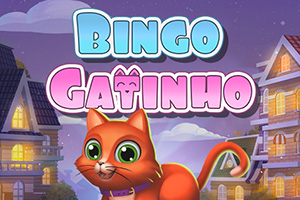 Bingo Catinho