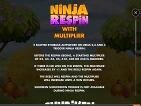 Nunchucks Chicken ninjn respin