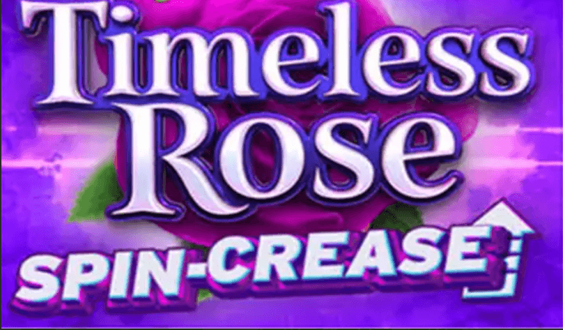 Timeless Rose