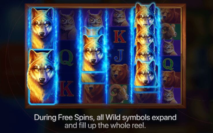 Wolf Power Megaways- Free Spins2