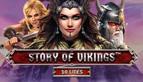 Story Of Vikings 10 Lines
