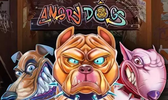 Angry Dogs